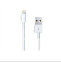 White 8 Pin iPhone 5 Lightning USB Cable / iphone 5 lightning to usb cable